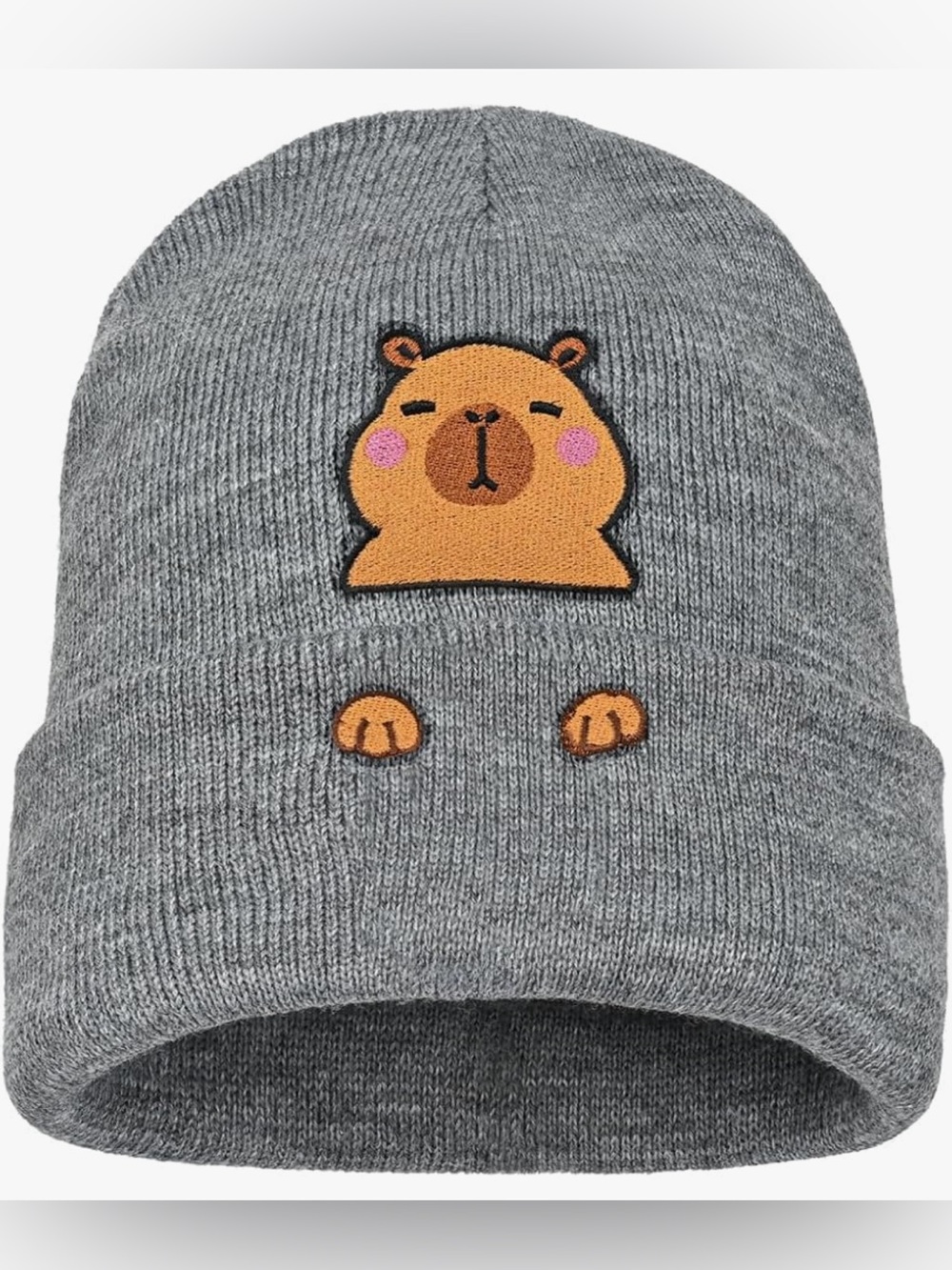 Knit Beanie Hat for Adult and Big Kids Winter Warm